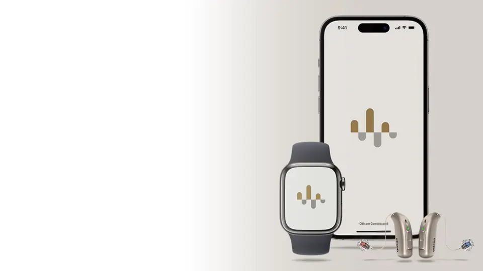 Hearing aid accessories