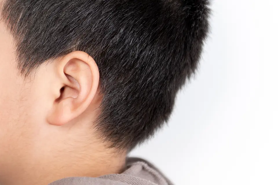 Pus in the Ear - featured image